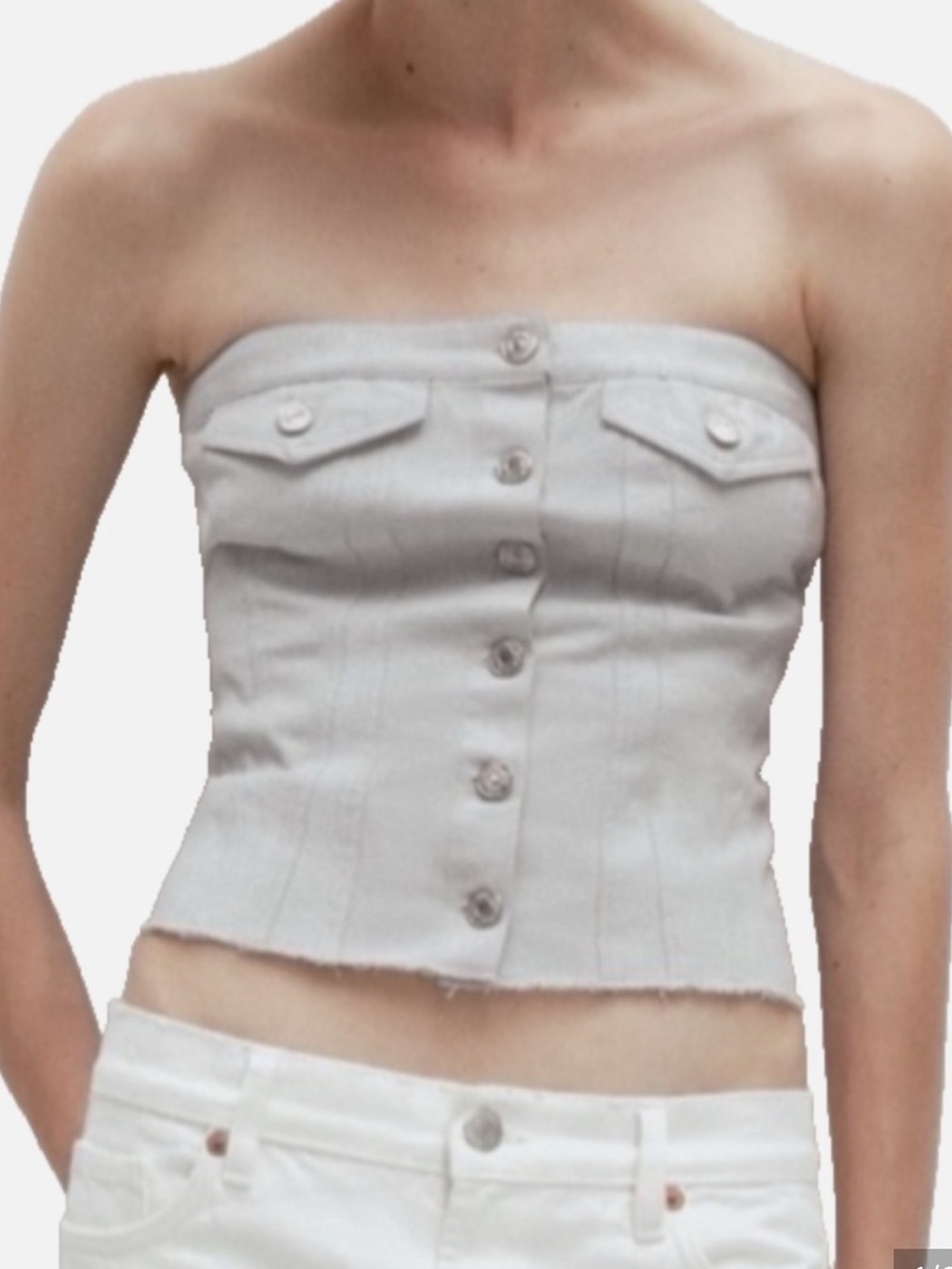 Zara Metallic Corset Tube Top